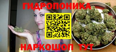 apvp Мариинск